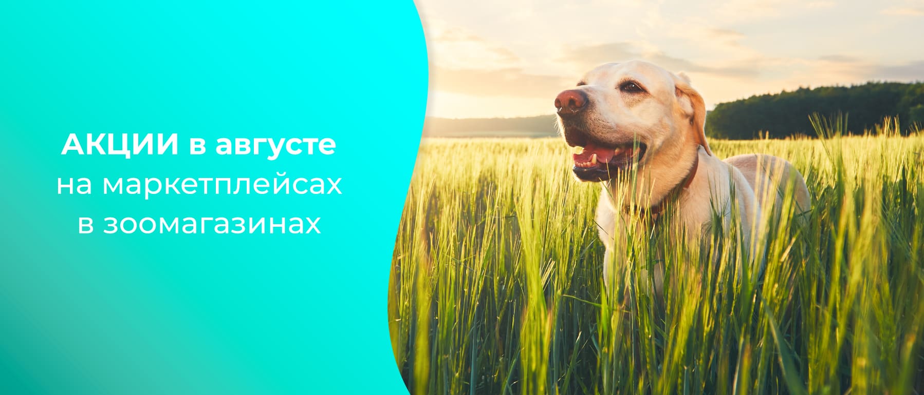 akcii produkciya veda