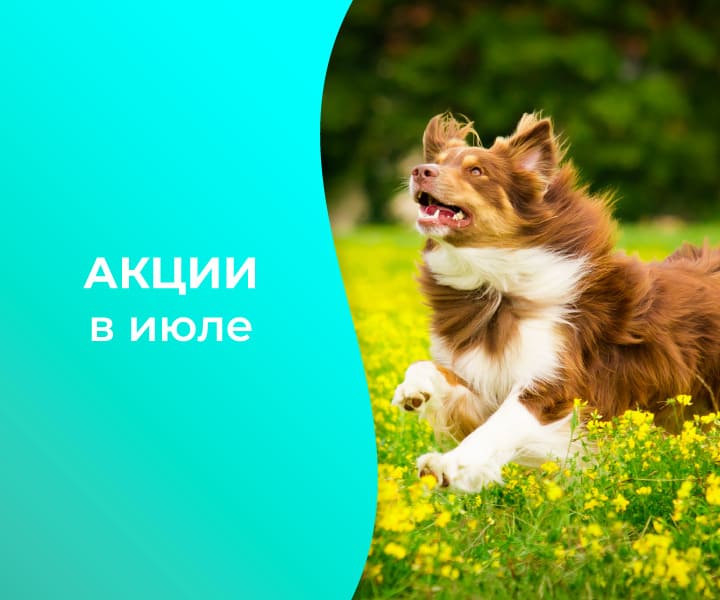 akcii