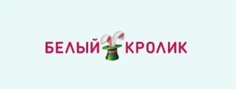 belyi krolik