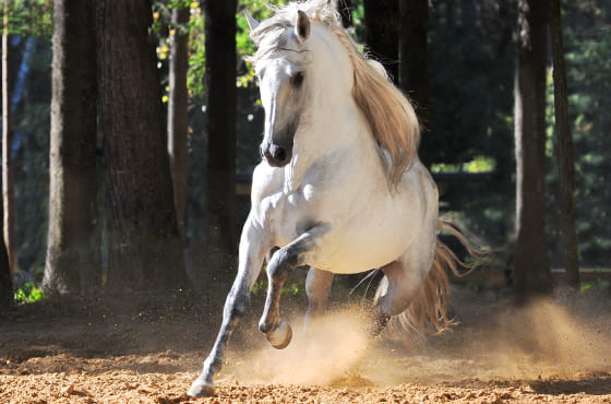 profilaktika boleznej sustavov