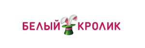 belyj-krolik